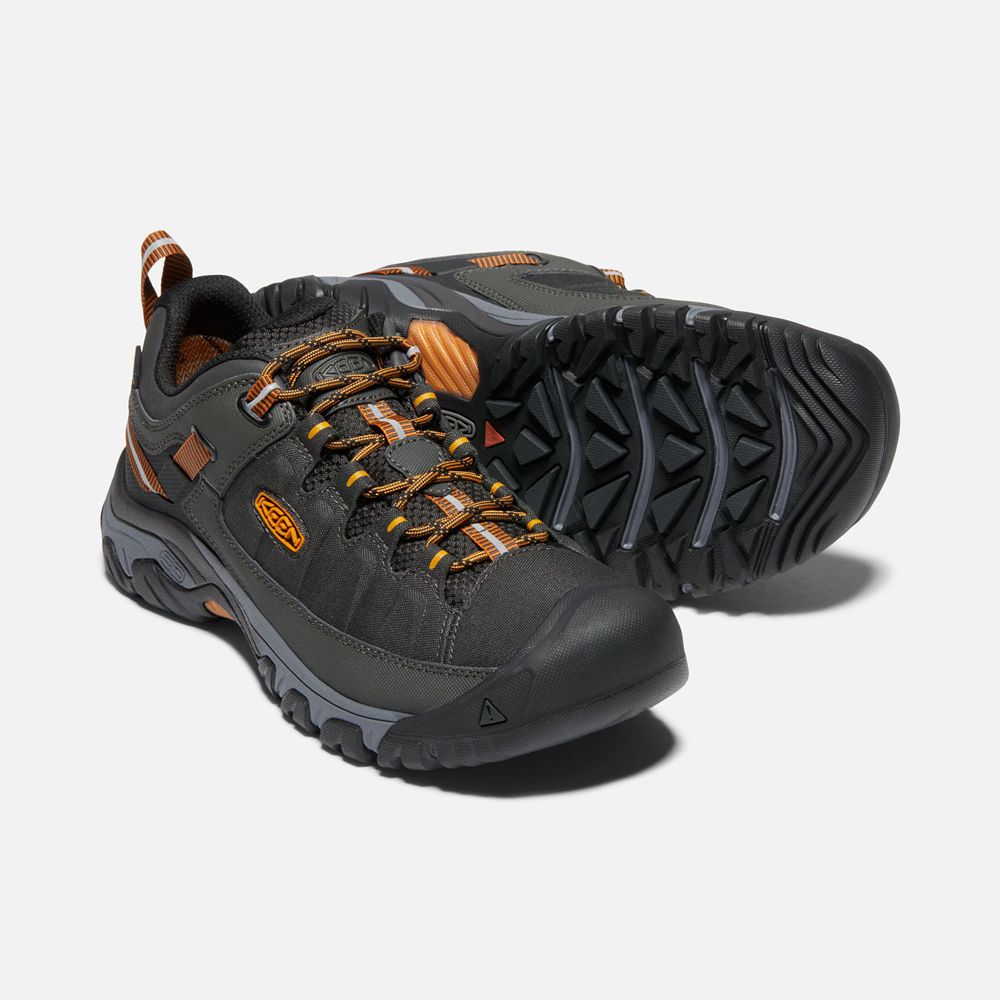 Keen Outdoor Ayakkabı Erkek Siyah/Altın - Targhee Exp Waterproof - Türkiye ZOLB46195